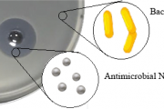 Antimicrobial nanostructures