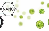 C. vulgaris in bio- and nano-technology
